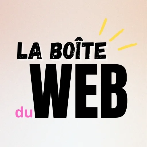 La boîte du web Site web SEO